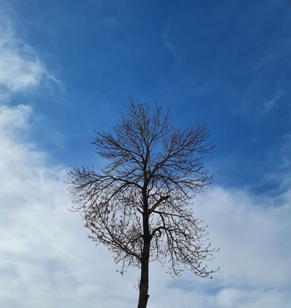 Photograph by Константин Шипицын