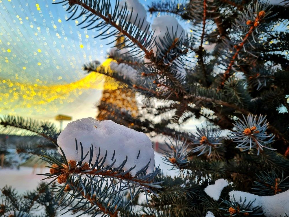 Photograph by Константин Шипицын