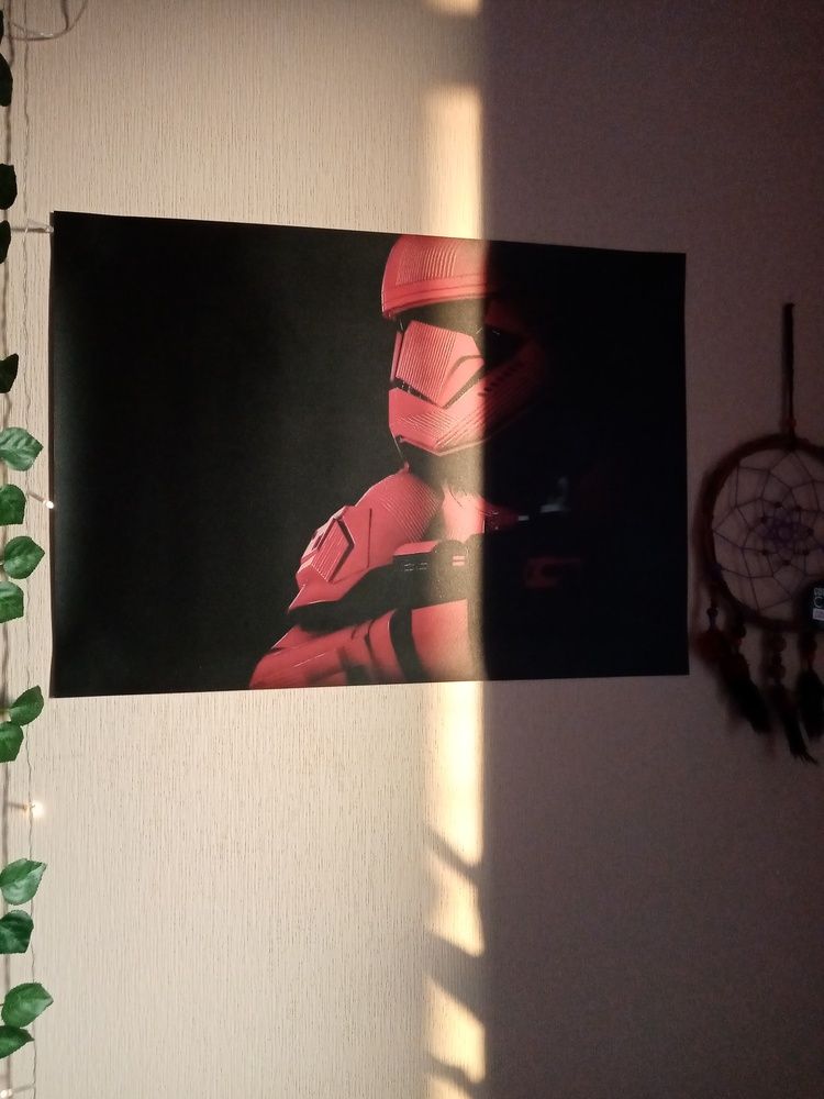 Photo #12960143
