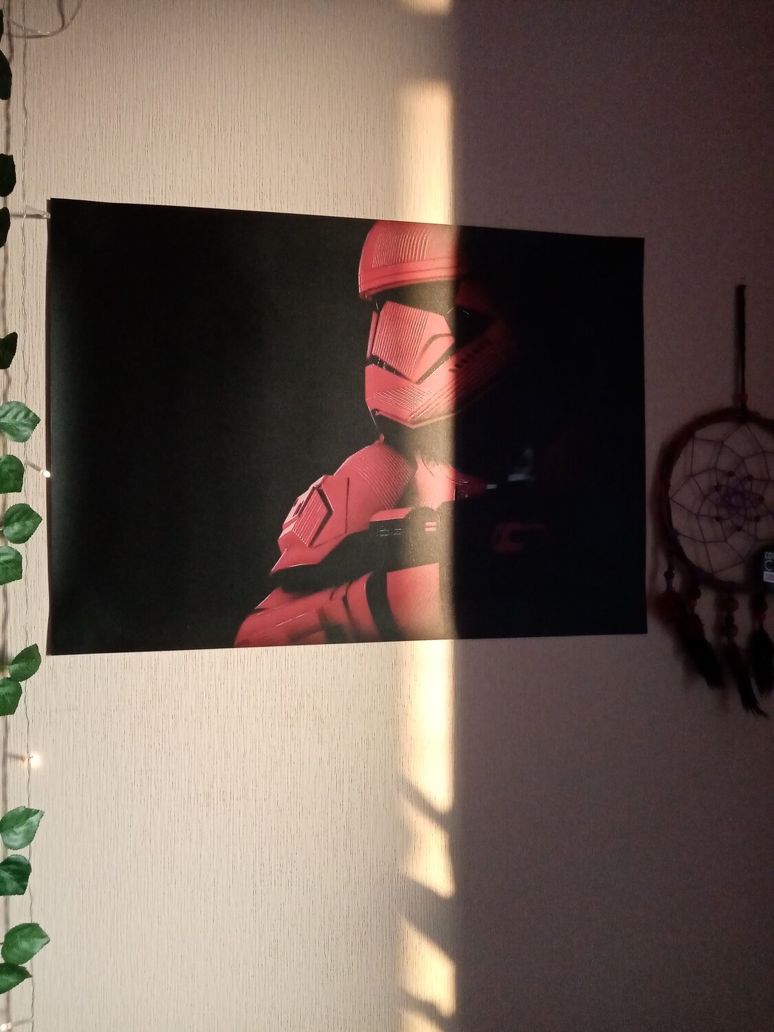 Photo #12960143