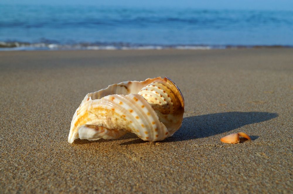 Photograph by Галина Кан