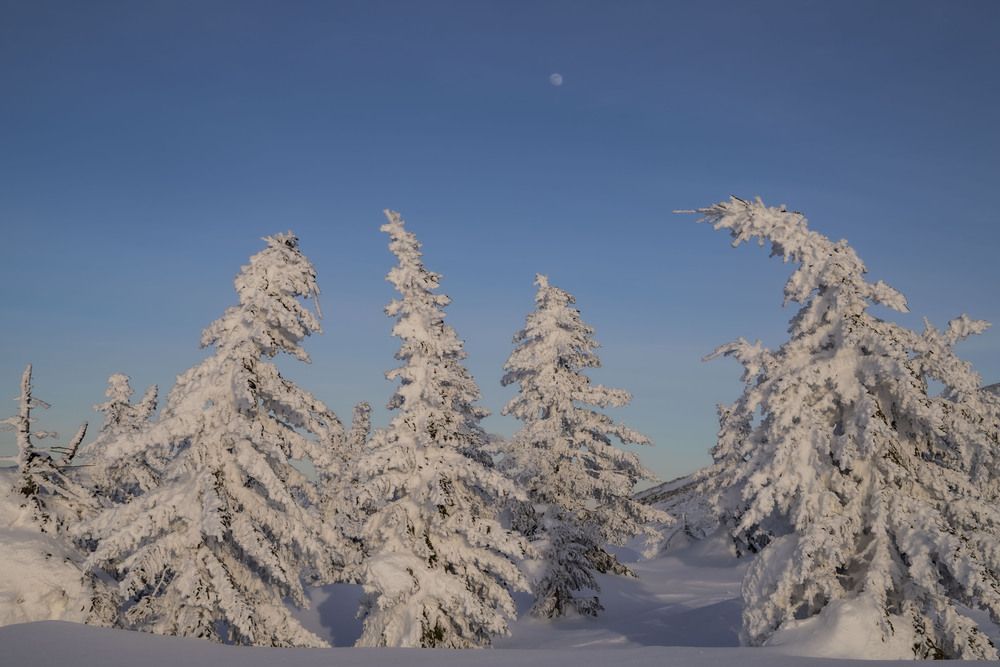 Photograph by Елена Перминова