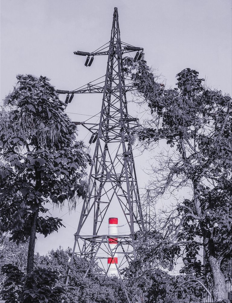 Железная ель / The Iron Fir