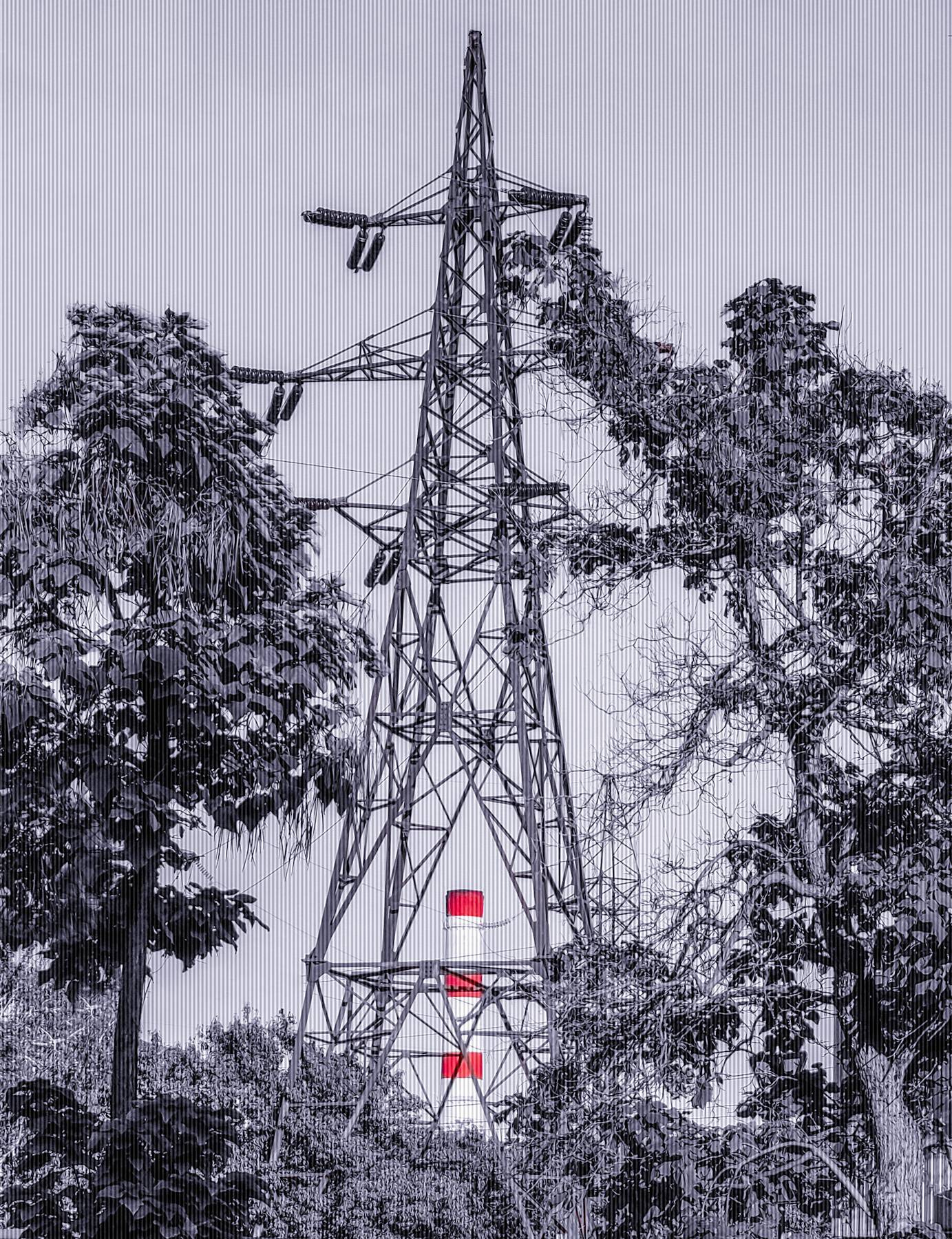 Железная ель / The Iron Fir Железная ель / The Iron Fir