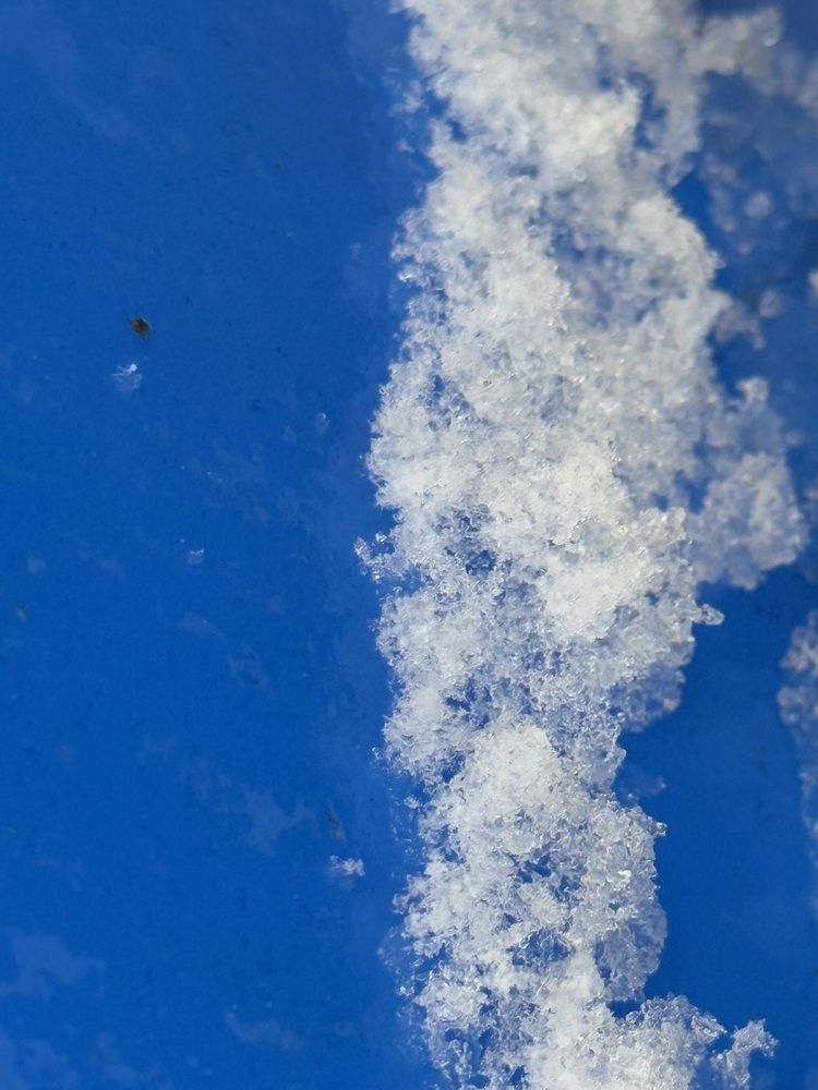 Фотография автора Татьяна