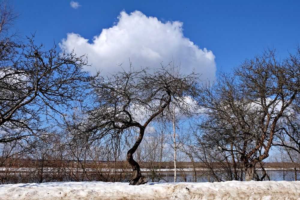 Спящее облако