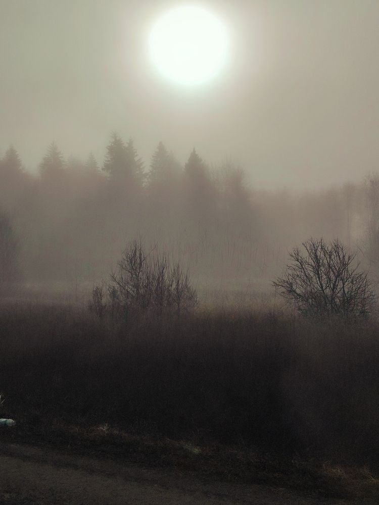 Photo #12960201