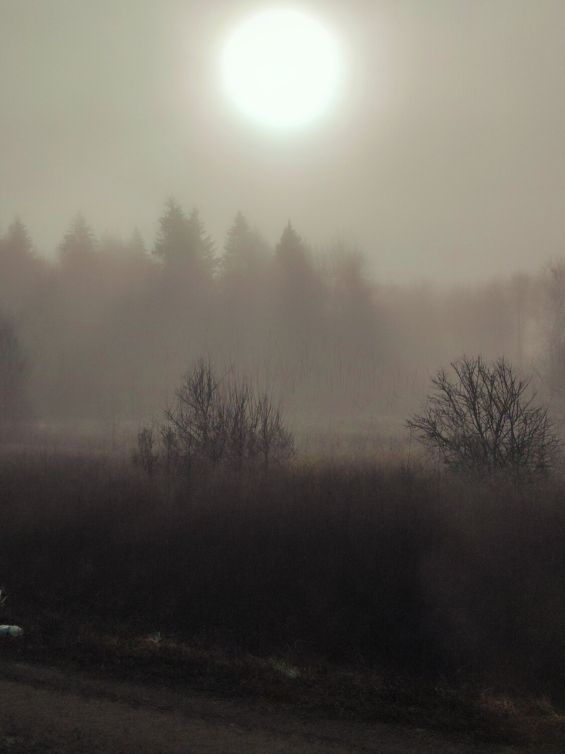 Photo #12960201
