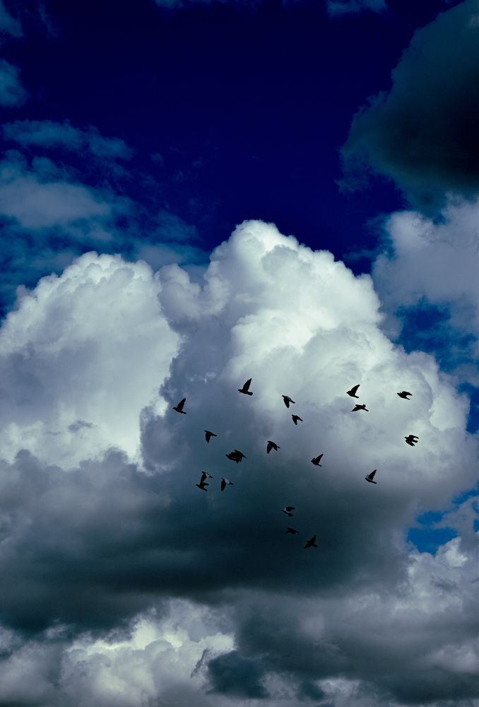 Photograph by NADER AYMAN