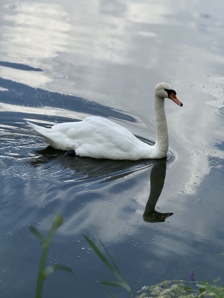 Фотография автора Татьяна