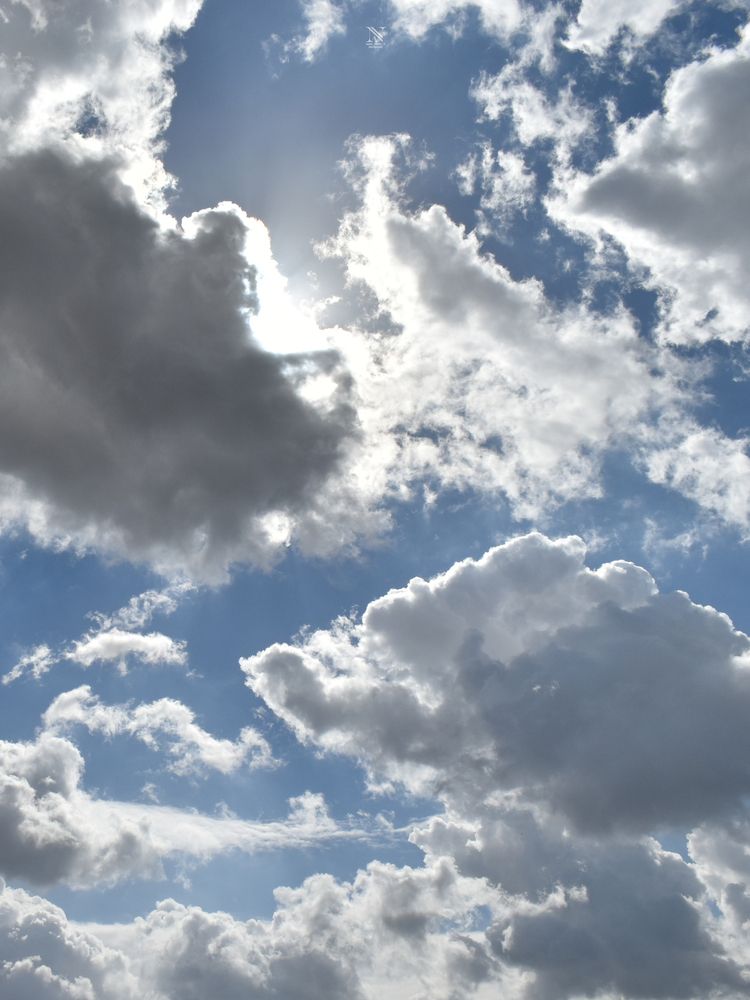 Photograph by NADER AYMAN