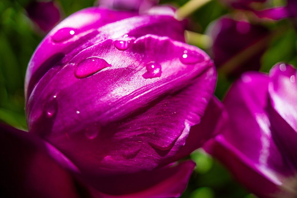 Фотография автора Kostadin Kirov