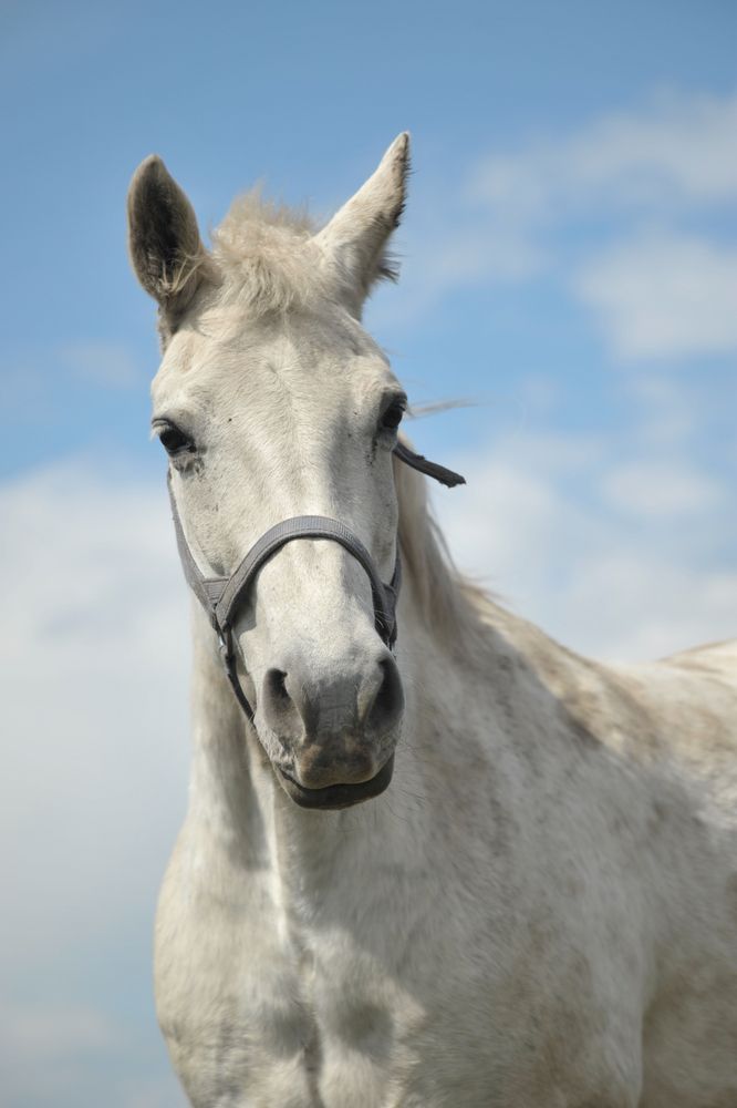 Photograph by Мария Лавриненко