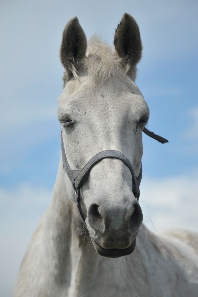 Photograph by Мария Лавриненко