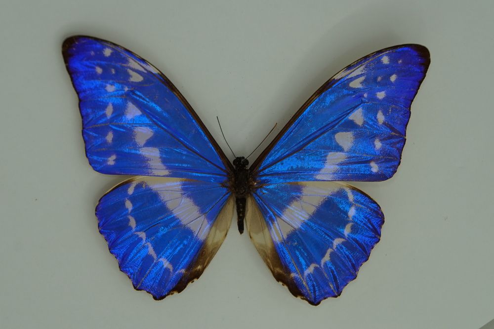 Photograph by сергей мишаков