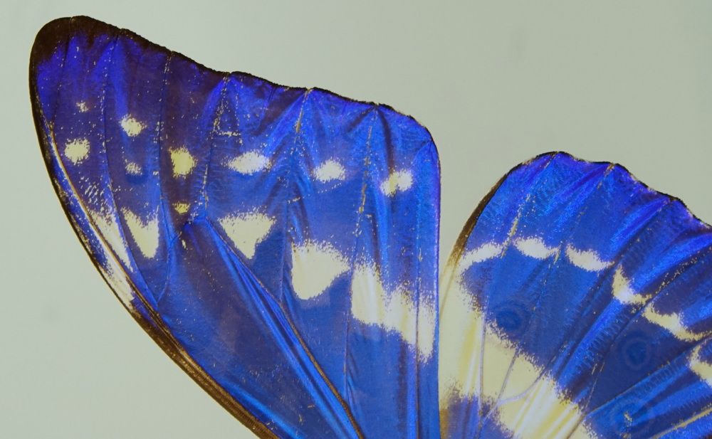 Photograph by сергей мишаков