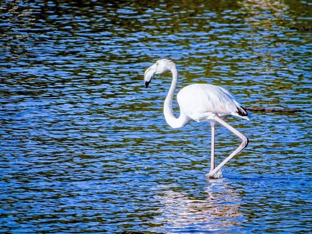 Photograph by Alexandra Kontodima