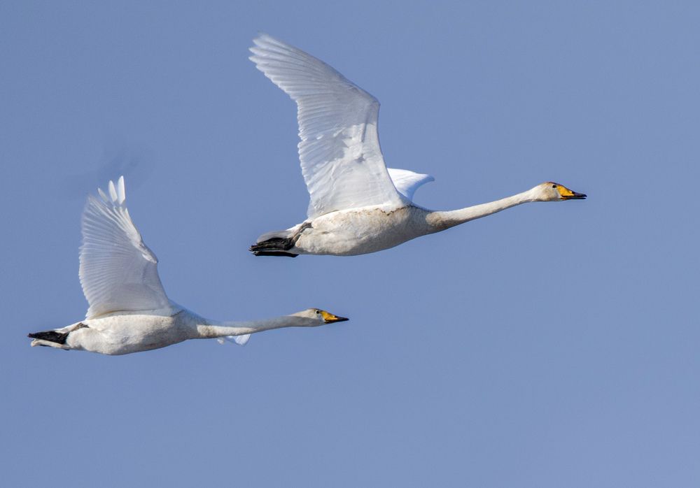 Фотография автора Viktoriya Kim