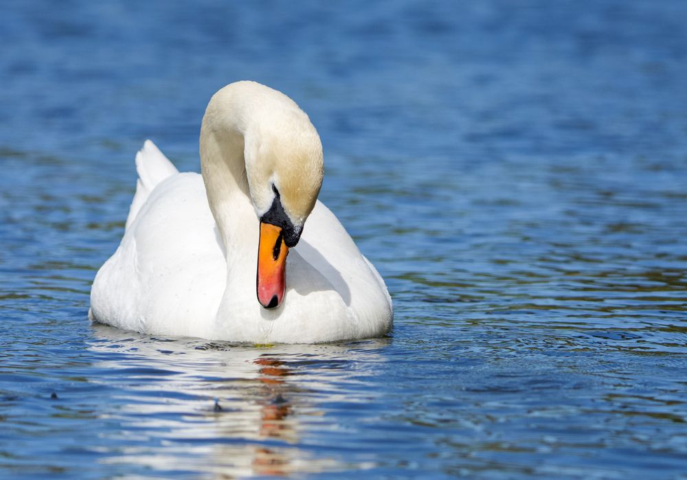 Фотография автора Viktoriya Kim