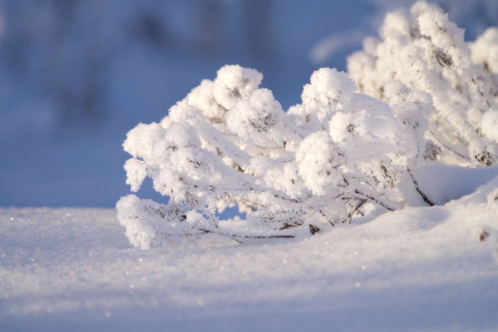 Фотография автора Viktoriya Kim