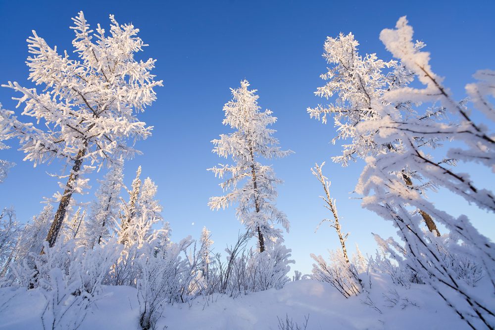 Фотография автора Viktoriya Kim