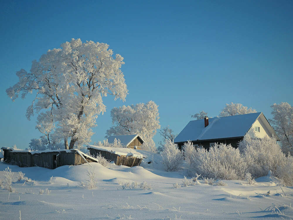 Photograph by Яковлев Евгений