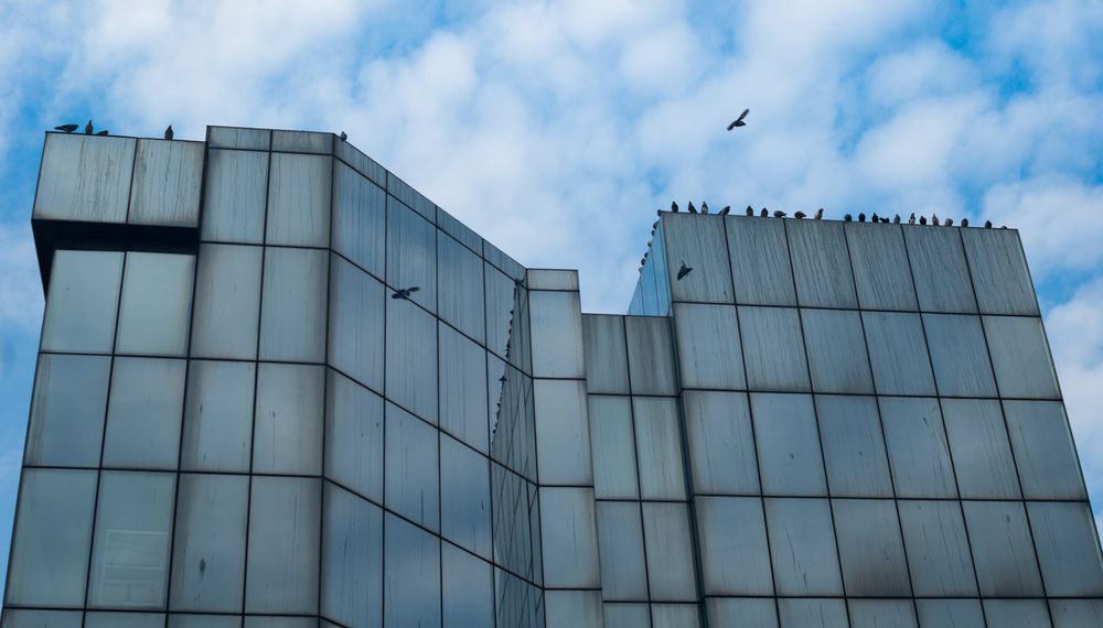 Photograph by Dragan Leles