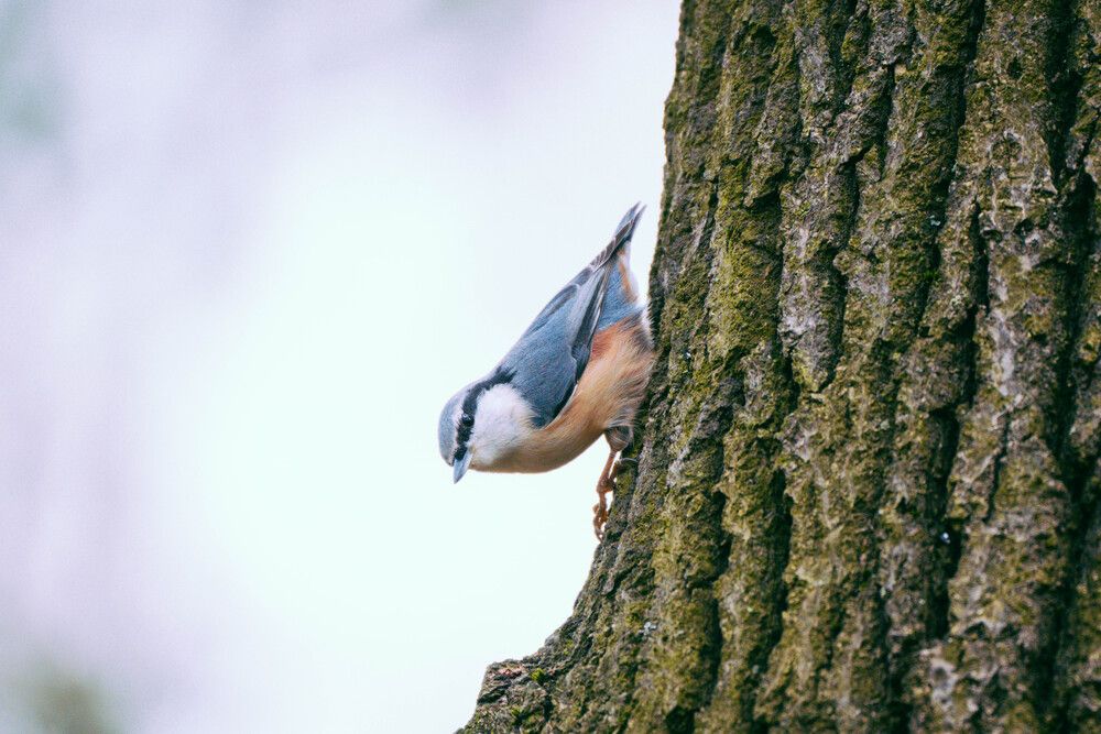 Photograph by Ekaterina Barashkova