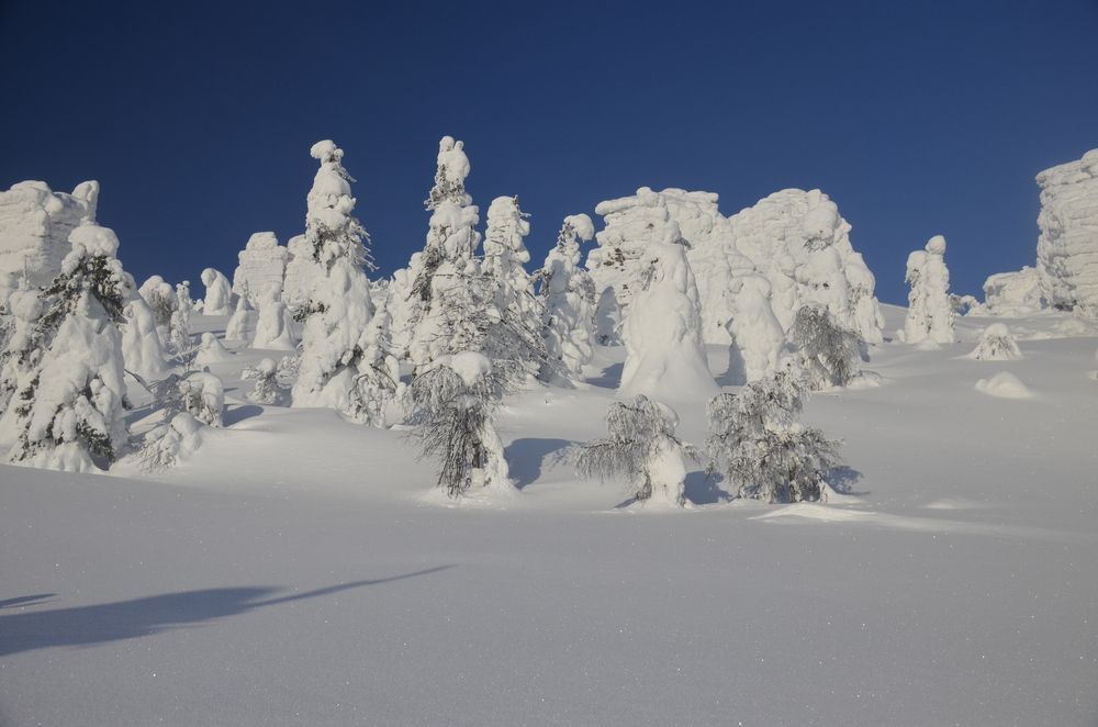 Фотография автора Алексей Власов