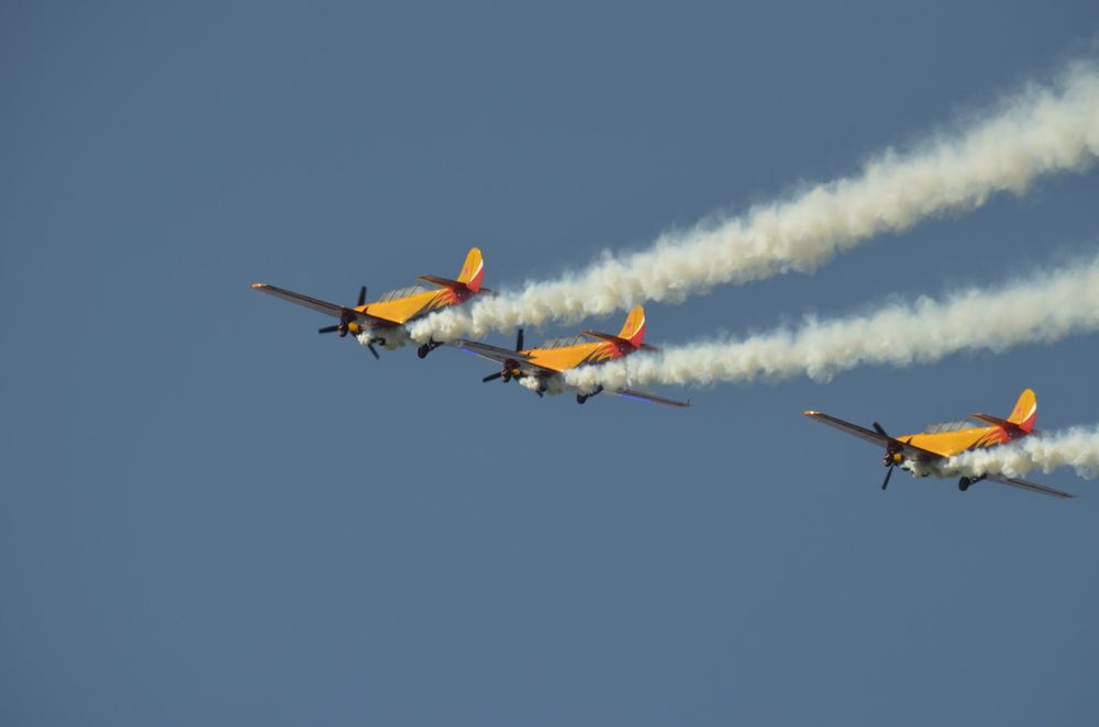 Фотография автора Алексей Власов