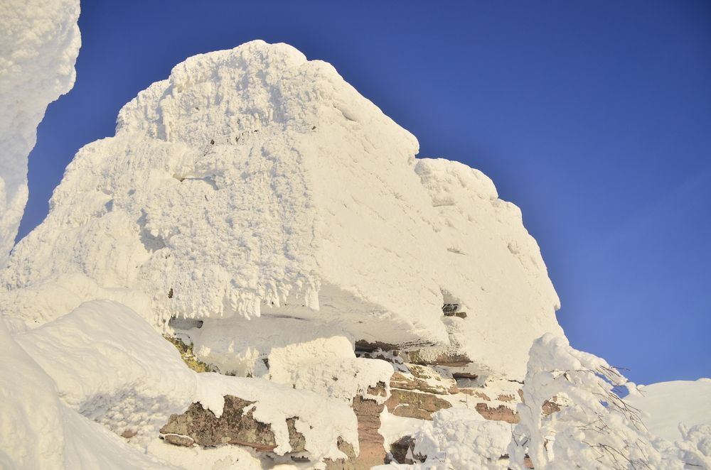 Фотография автора Алексей Власов