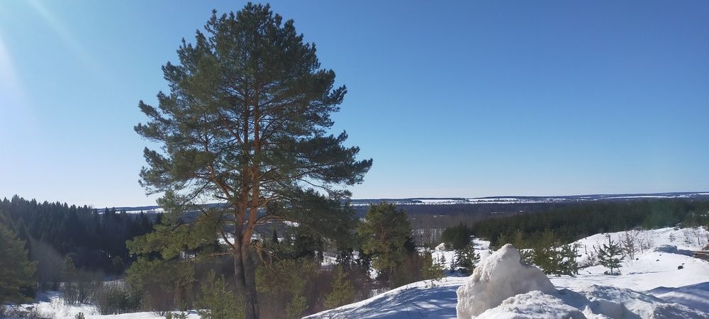 Photograph by Александра Вакурова