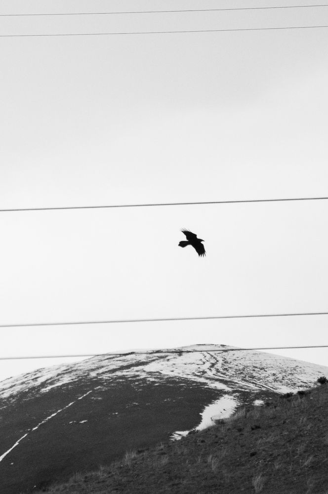 Photograph by Марина Маркина