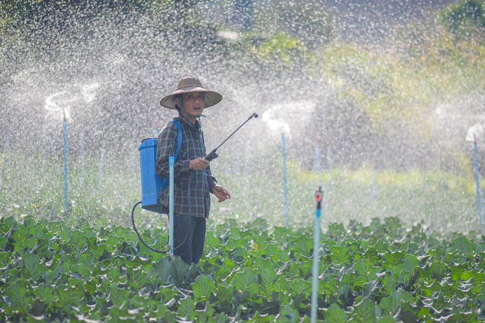 Photograph by Bhone Myint Moo