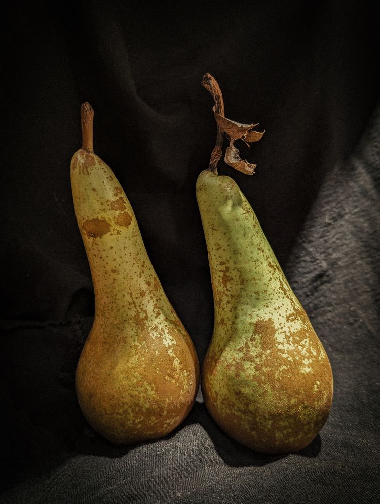 Фотография автора Ксения Шляйхер