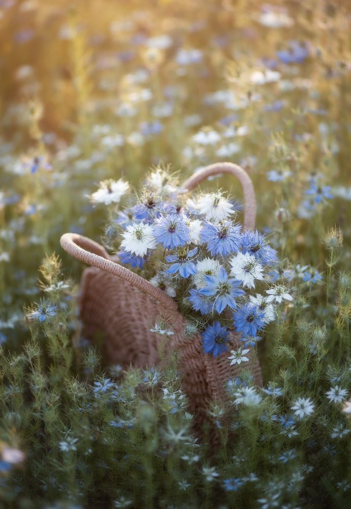 Photograph by Елена Косинова