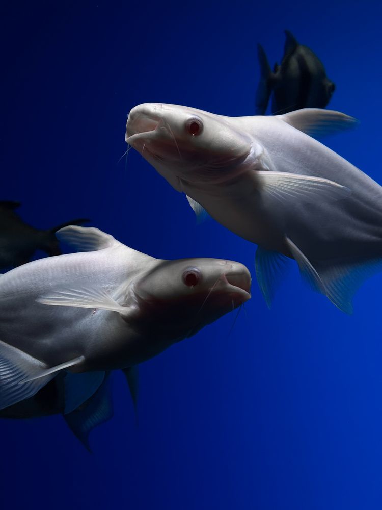 Фотография автора Мария