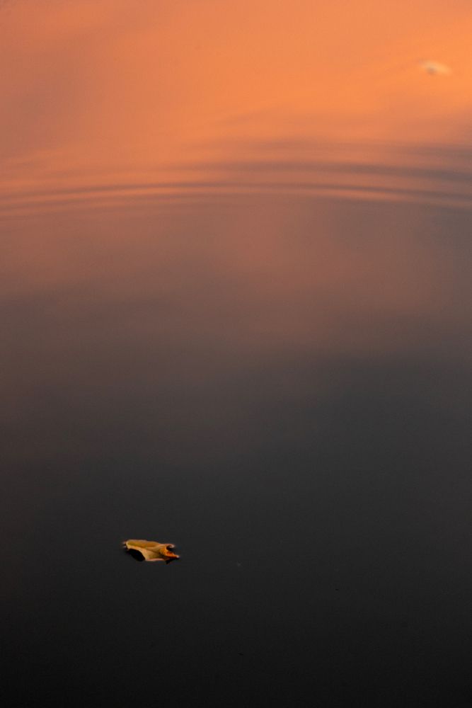 Photograph by Витас Черняускас