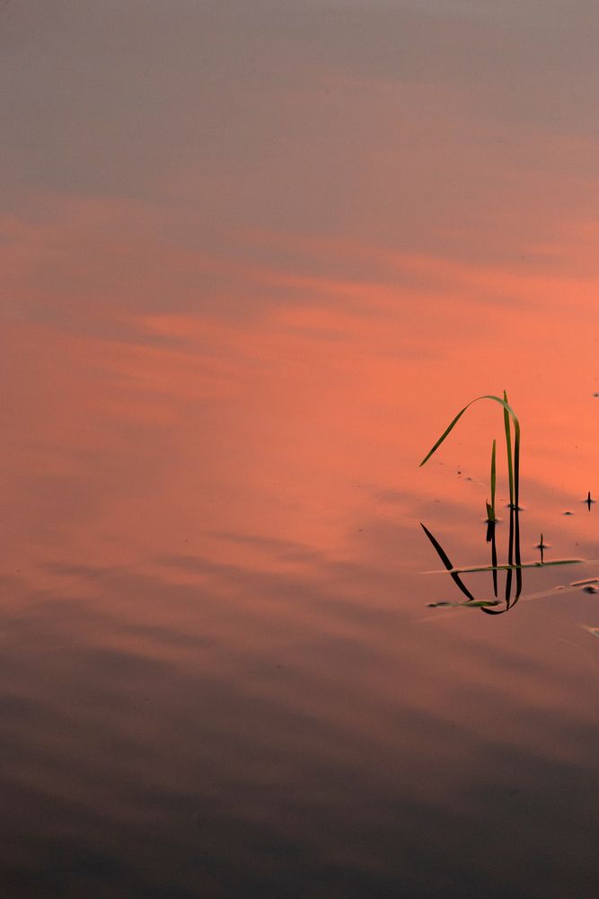 Photograph by Витас Черняускас