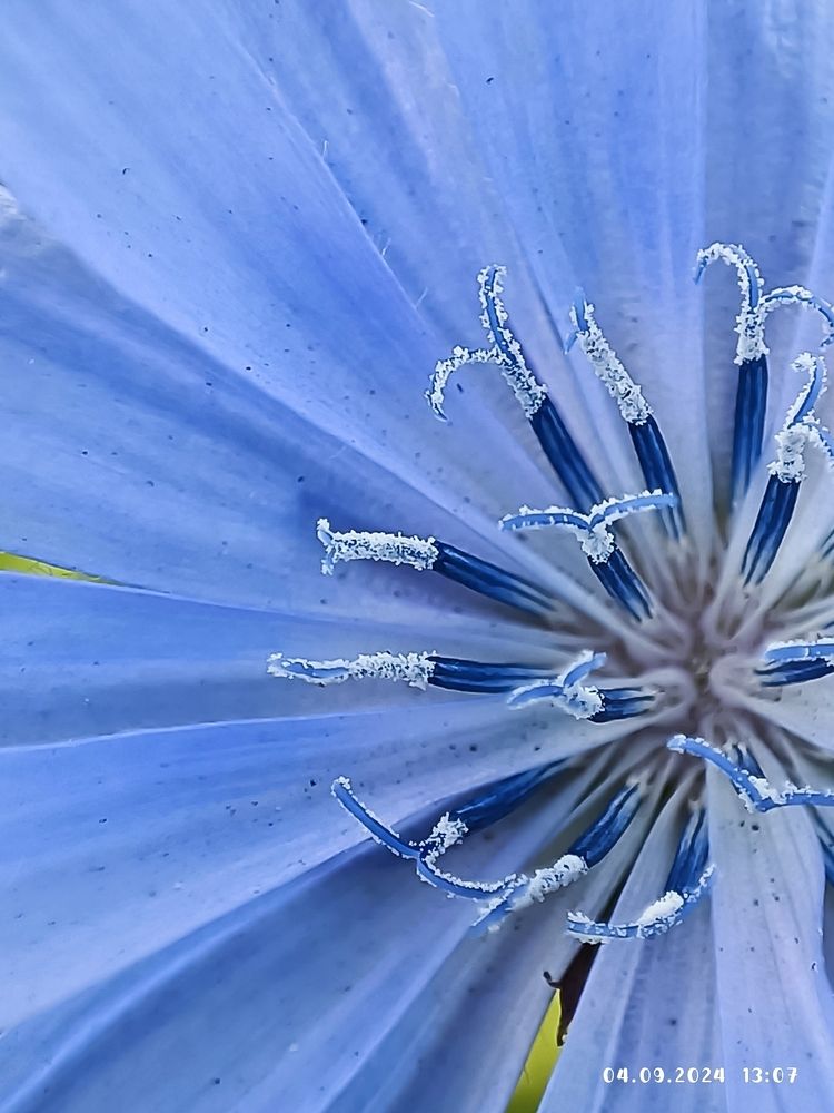 Photograph by Елена Калинина