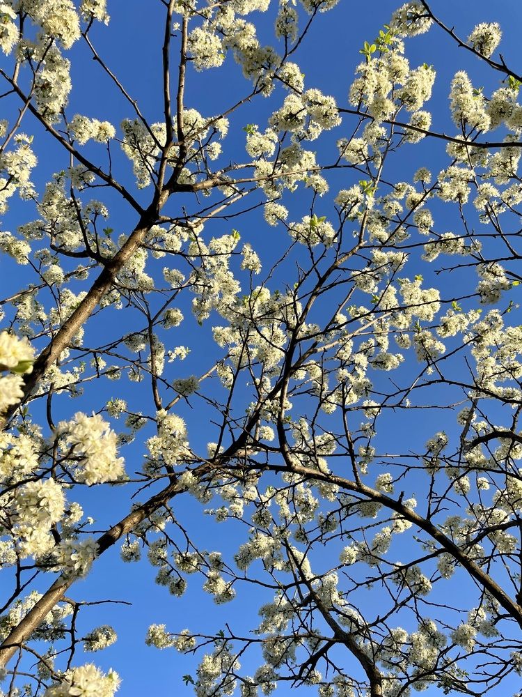 Photograph by Екатерина Кузнецова