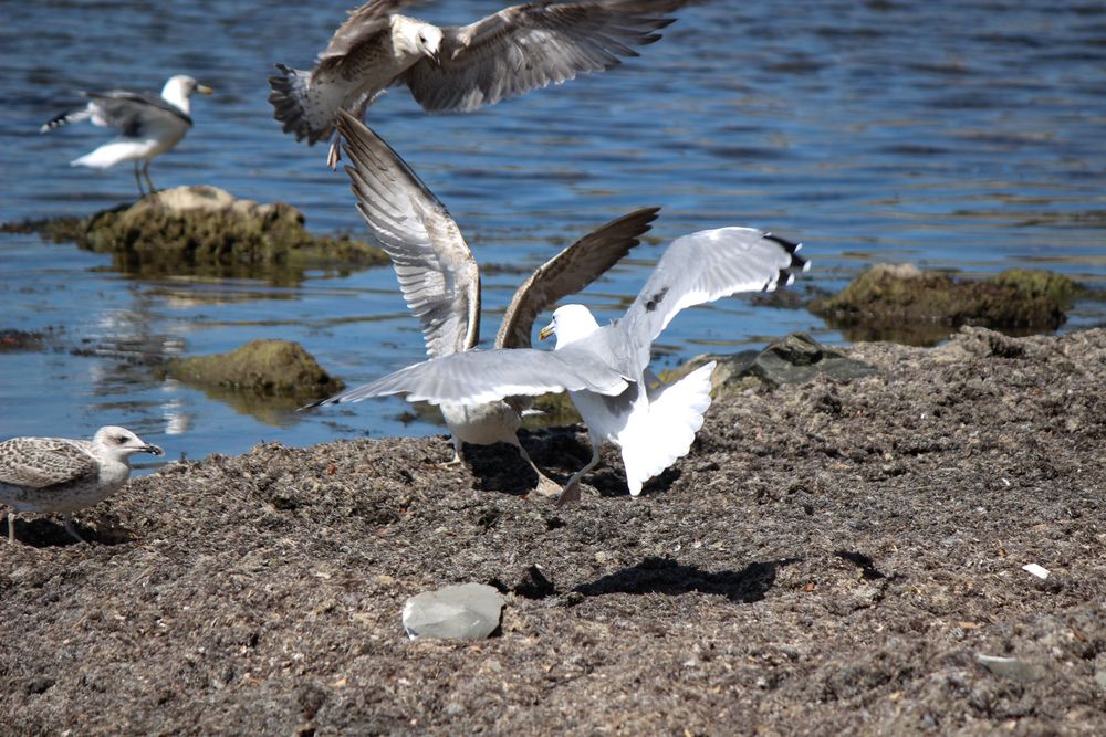 Photograph by Ирина Дмитриенко