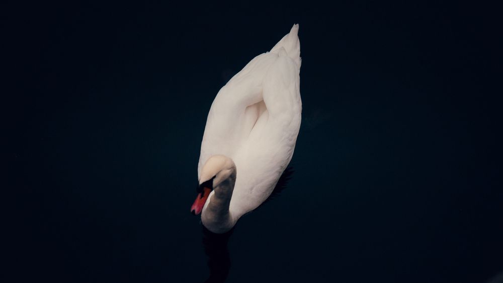 Photograph by Егор Бартошук