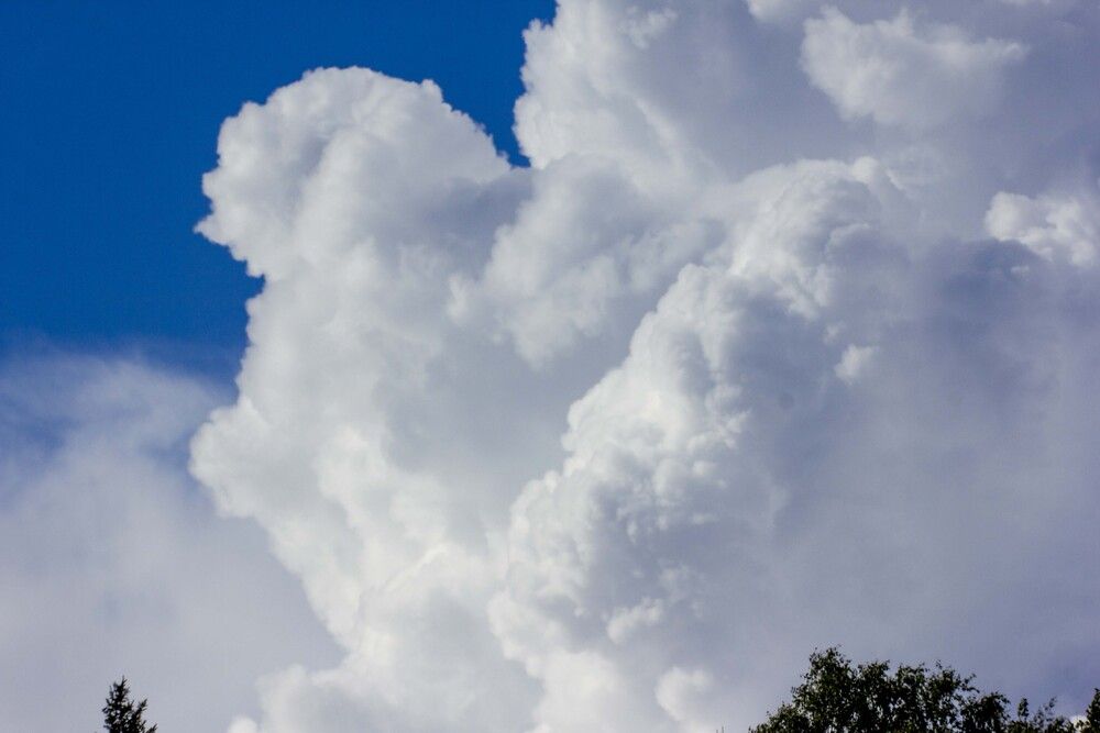 Фотография автора Александр Собокарь