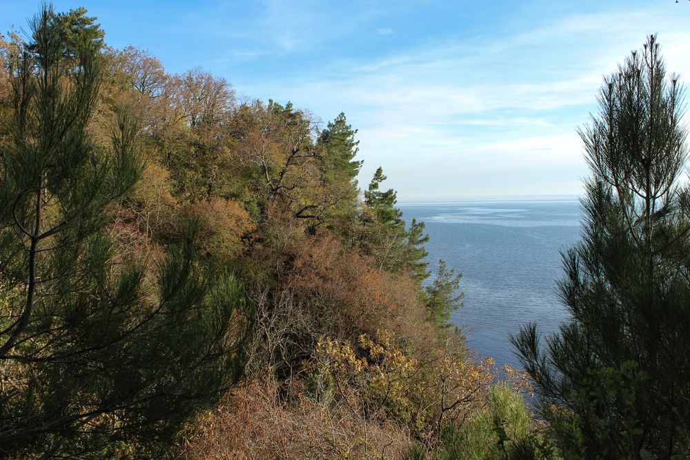 Photograph by Ирина Дмитриенко