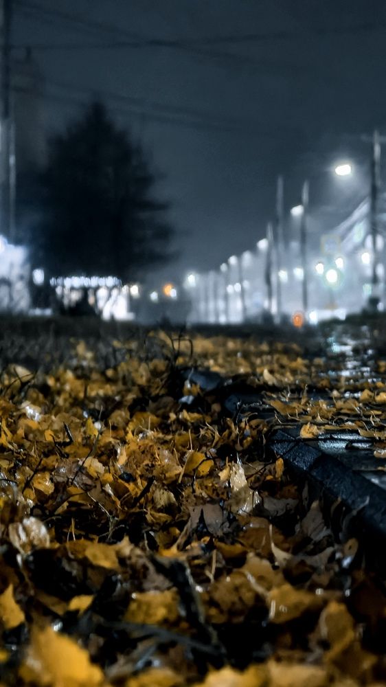 Фотография автора Дмитрий Чебанов