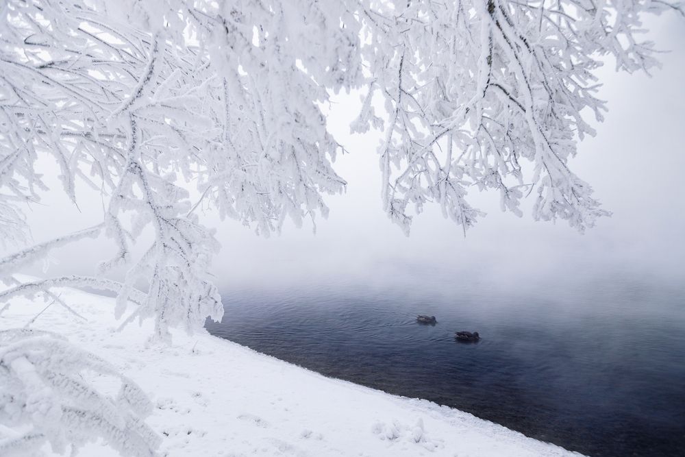 Фотография автора Анна Рыжкова
