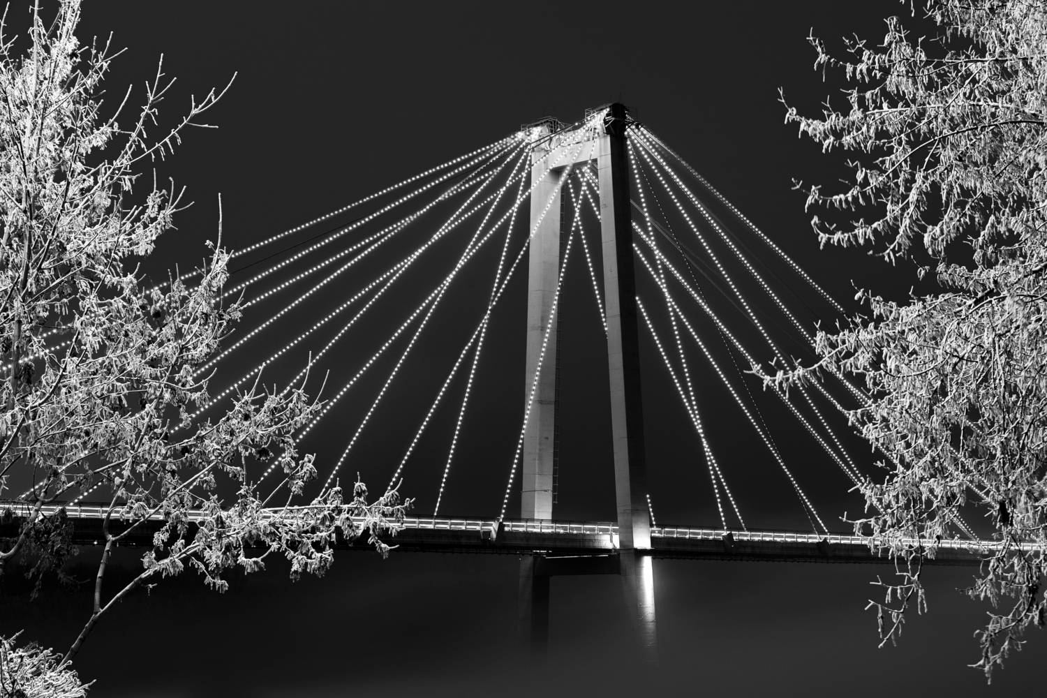 Фотография #12960802