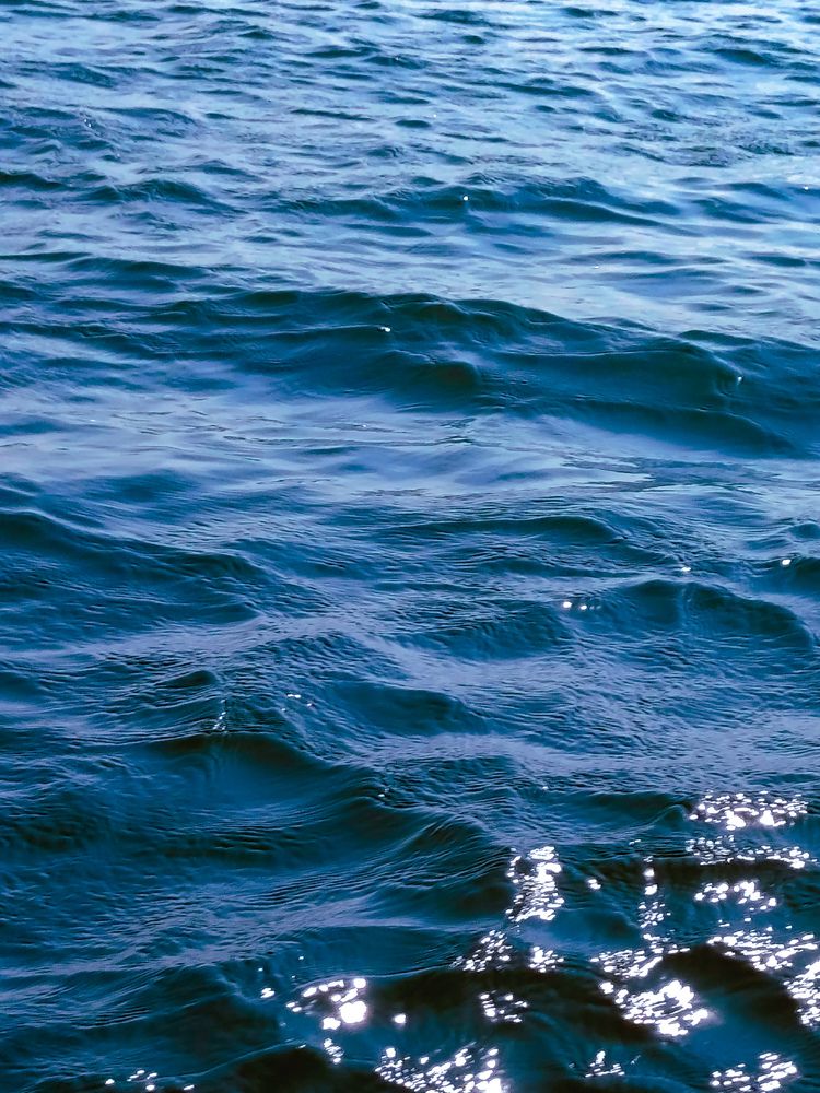 Photograph by Alaa Wahba