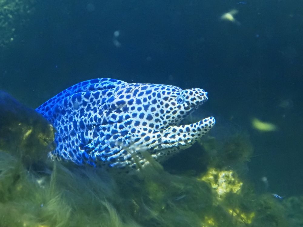 Photograph by Сергей Борисов